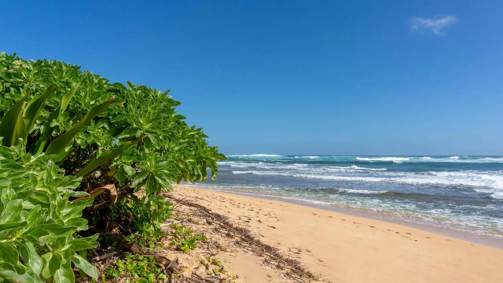Hanalei Colony Resort E3 0*,  ABD